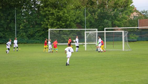 IMG_1157.JPG